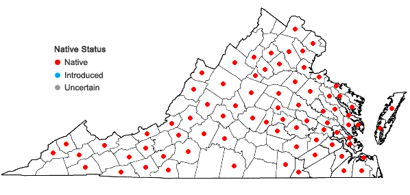 Locations ofLilium superbum L. in Virginia