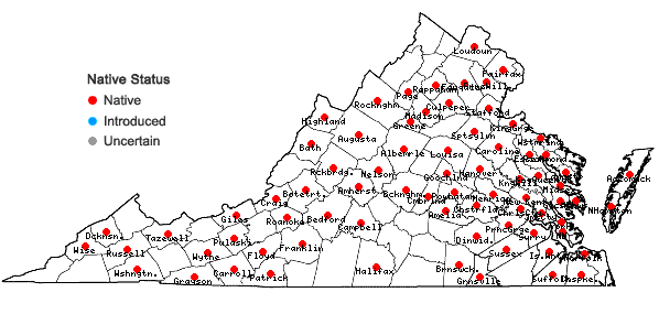 Locations ofLilium superbum L. in Virginia