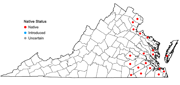 Locations ofLimnobium spongia (Bosc) L.C.Rich. ex Steud. in Virginia