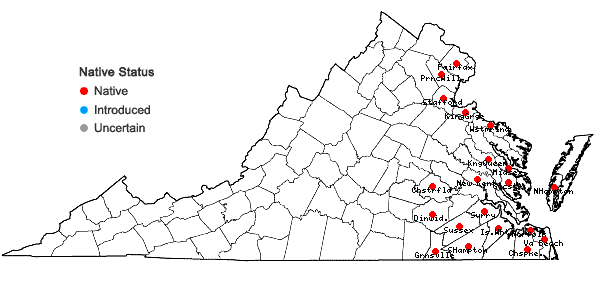 Locations ofLimnobium spongia (Bosc) L.C.Rich. ex Steud. in Virginia