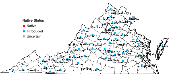 Locations ofLinaria vulgaris P. Mill. in Virginia