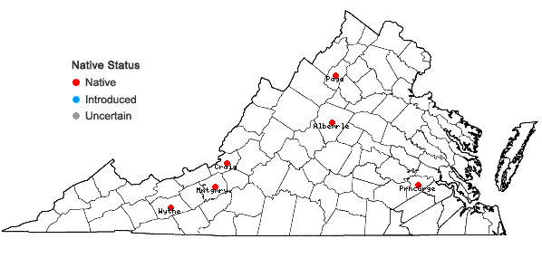 Locations ofLindbergia brachyptera (Mitt.) Kindb. in Virginia