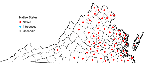 Locations ofLindernia anagallidea (Michx.) Pennell in Virginia