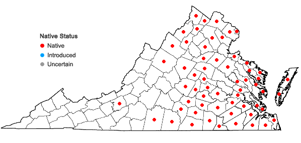 Locations ofLindernia dubia (L.) Pennell var. anagallidea (Michx.) Cooperrider in Virginia