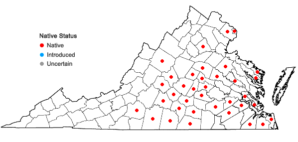 Locations ofLinum intercursum Bickn. in Virginia