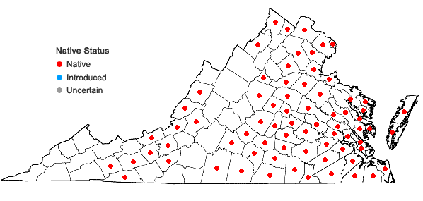 Locations ofLinum medium (Planch.) Britton var. texanum (Planch.) Fern. in Virginia