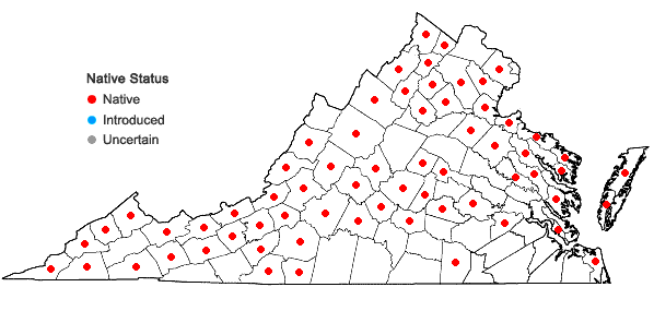 Locations ofLinum virginianum L. in Virginia