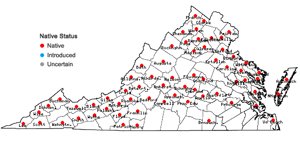 Locations ofLinum virginianum L. in Virginia