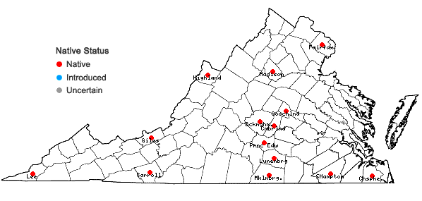 Locations ofLiochlaena lanceolata Nees in Virginia