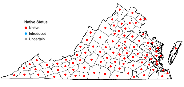 Locations ofLiparis liliifolia (L.) L.C. Rich. ex Ker-Gawl. in Virginia