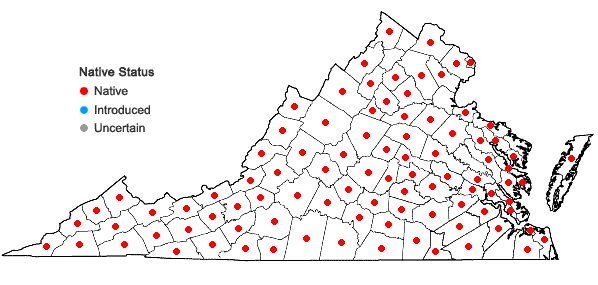 Locations ofLiparis liliifolia (L.) L.C. Rich. ex Ker-Gawl. in Virginia