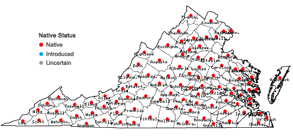 Locations ofLiparis liliifolia (L.) L.C. Rich. ex Ker-Gawl. in Virginia