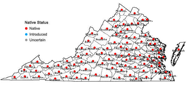 Locations ofLiparis liliifolia (L.) L.C. Rich. ex Ker-Gawl. in Virginia