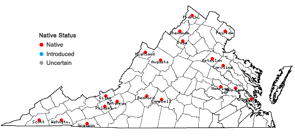 Locations ofLiparis loeselii (L.) L.C. Rich. in Virginia