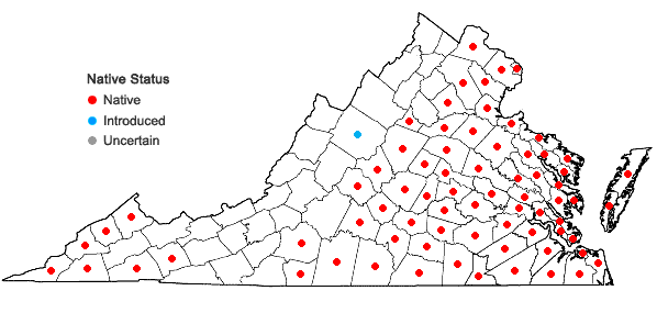 Locations ofLiquidambar styraciflua L. in Virginia