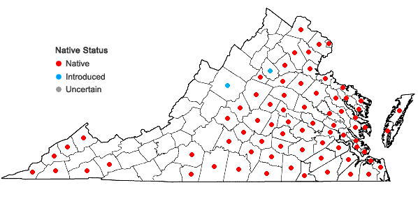 Locations ofLiquidambar styraciflua L. in Virginia