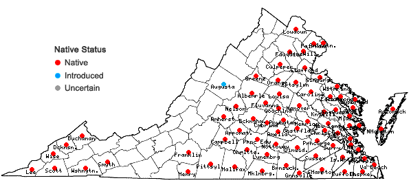 Locations ofLiquidambar styraciflua L. in Virginia