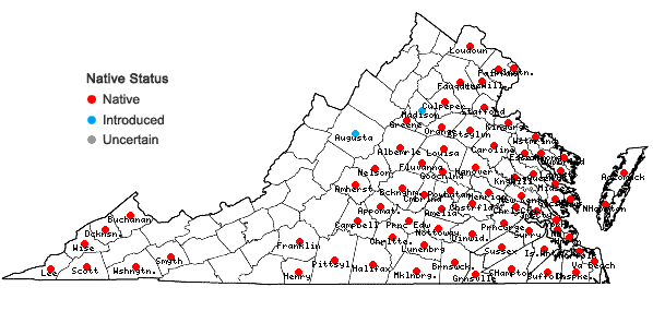 Locations ofLiquidambar styraciflua L. in Virginia