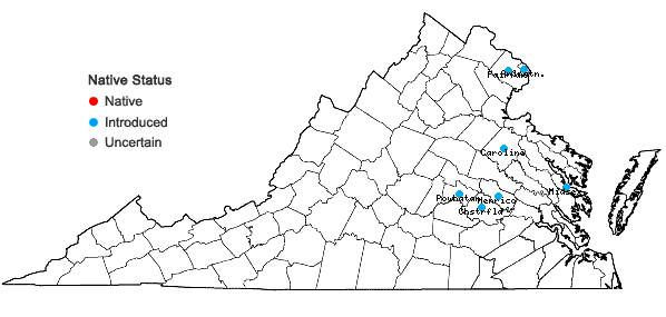 Locations ofLiriope muscari (Dcne.) Bailey in Virginia