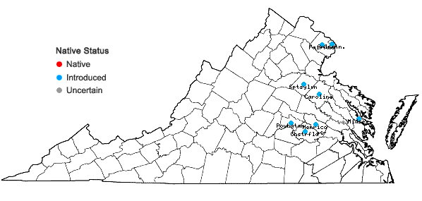 Locations ofLiriope muscari (Dcne.) Bailey in Virginia
