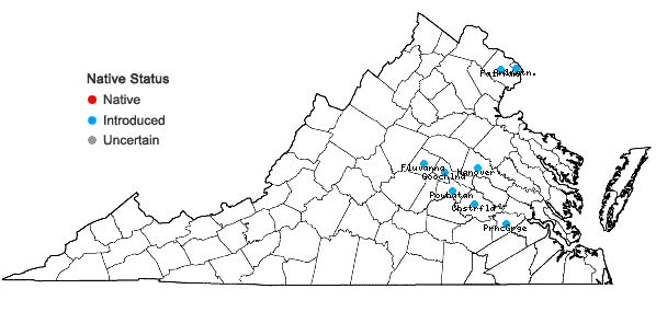 Locations ofLiriope spicata Lour. in Virginia