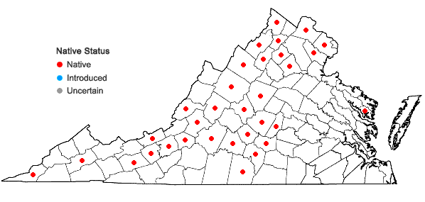 Locations ofLithospermum canescens (Michx.) Lehm. in Virginia