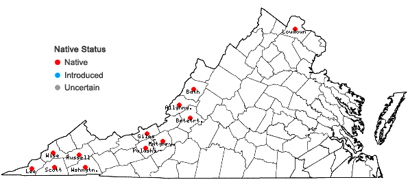 Locations ofLithospermum latifolium Michx. in Virginia