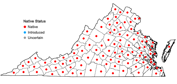 Locations ofLobelia inflata L. in Virginia