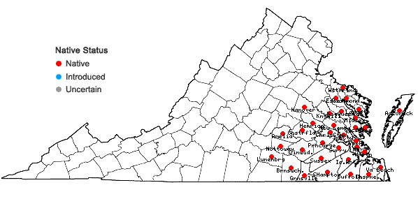Locations ofLobelia nuttallii J. A.Schultes in Virginia