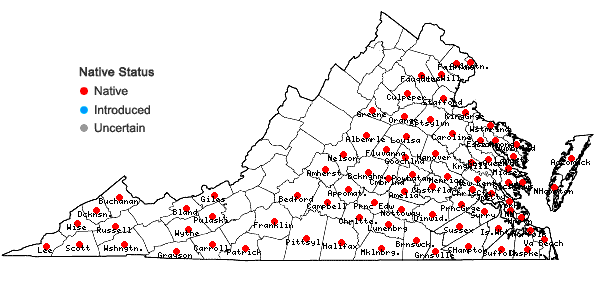 Locations ofLobelia puberula Michaux in Virginia