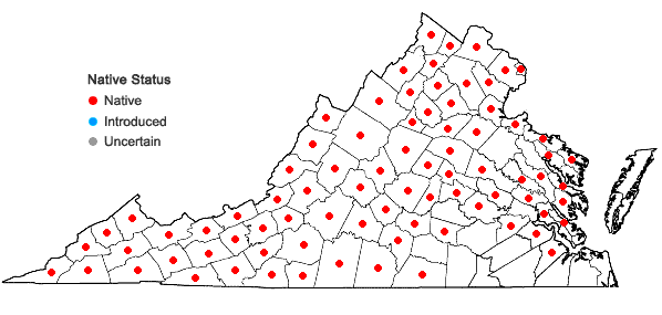 Locations ofLobelia siphilitica L. in Virginia