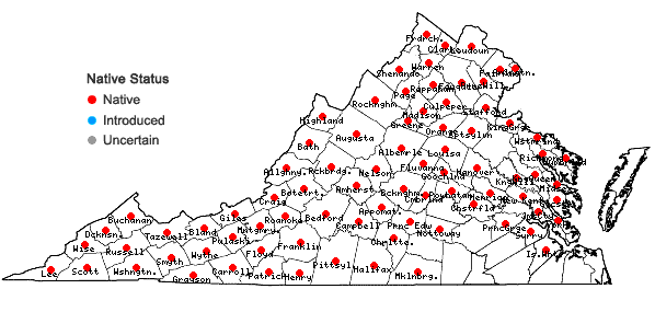 Locations ofLobelia siphilitica L. in Virginia