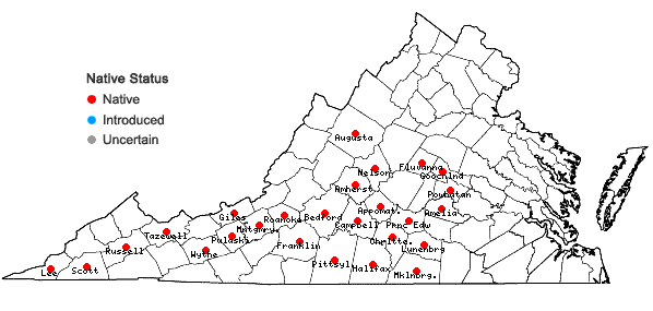 Locations ofLobelia spicata Lam. var. spicata in Virginia