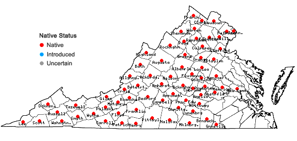 Locations ofLobelia spicata Lam. in Virginia