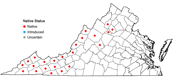 Locations ofLoeskeobryum brevirostre (Brid.) M. Fleisch. ex Broth. in Virginia