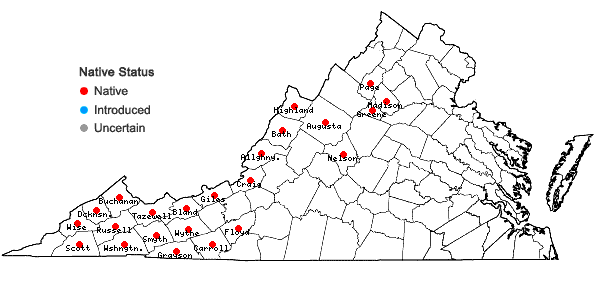 Locations ofLoeskeobryum brevirostre (Brid.) M. Fleisch. ex Broth. in Virginia