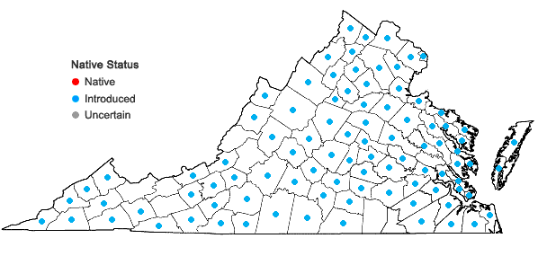 Locations ofLolium arundinaceum (Schreb.) Darbysh. in Virginia