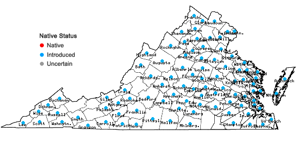 Locations ofLolium arundinaceum (Schreb.) Darbysh. in Virginia