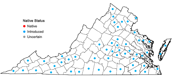 Locations ofLolium perenne L. var. aristatum Willd. in Virginia