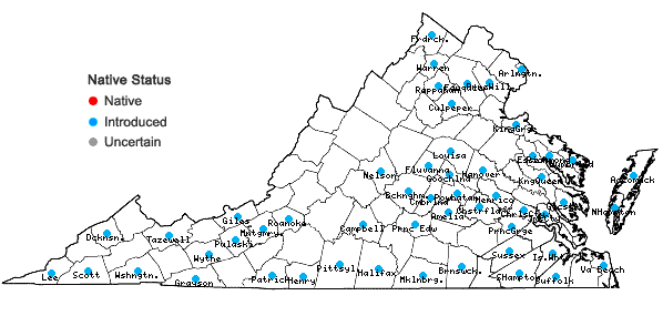 Locations ofLolium perenne L. var. aristatum Willd. in Virginia