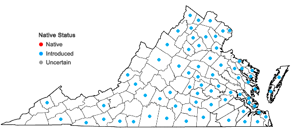 Locations ofLolium perenne L. var. perenne in Virginia