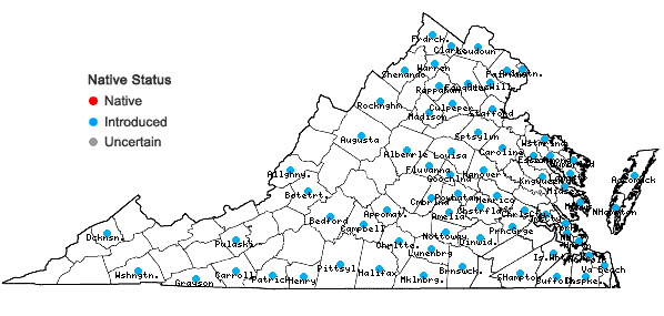 Locations ofLolium perenne L. var. perenne in Virginia