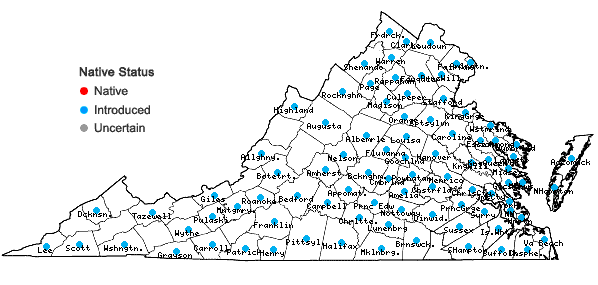 Locations ofLolium perenne L. in Virginia