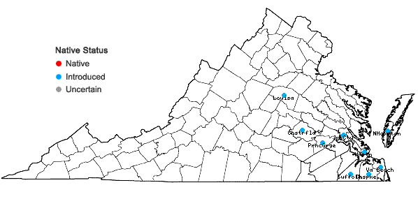 Locations ofLolium temulentum L. in Virginia