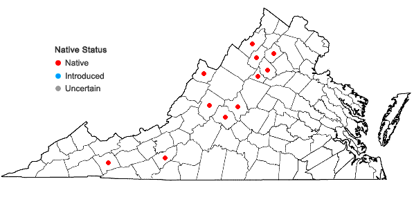 Locations ofLonicera canadensis Bartr. ex Marsh. in Virginia