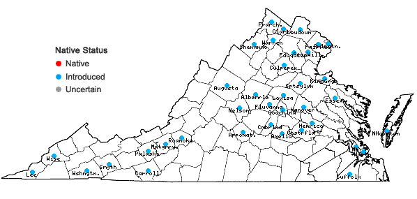 Locations ofLonicera maackii (Rupr.) Maximowicz var. maackii in Virginia