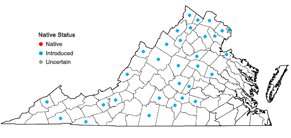 Locations ofLonicera morrowii Gray in Virginia