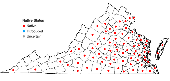 Locations ofLonicera sempervirens L. in Virginia