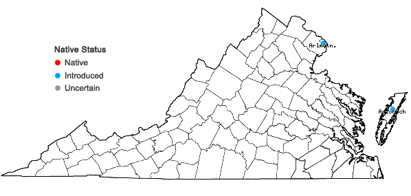 Locations ofLonicera standishii Jacq. in Virginia