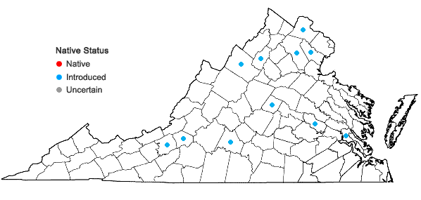 Locations ofLonicera tatarica L. in Virginia